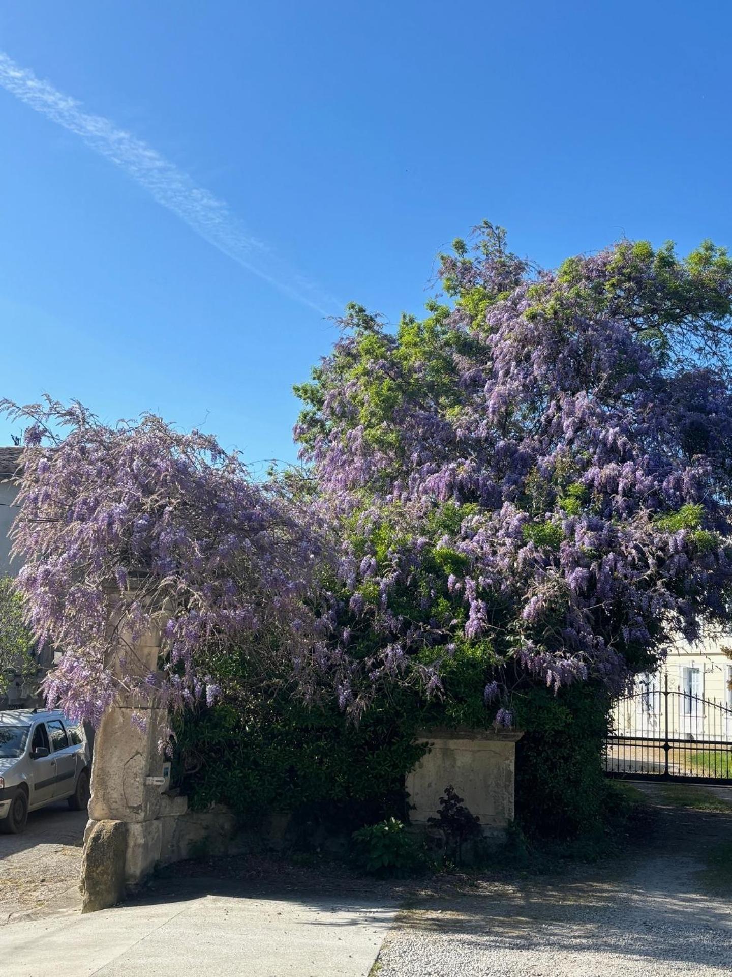 Gramazie Le Grenier Occitan B&B 외부 사진